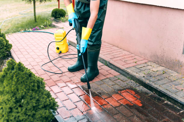 Best Gutter Cleaning in St Paul, VA