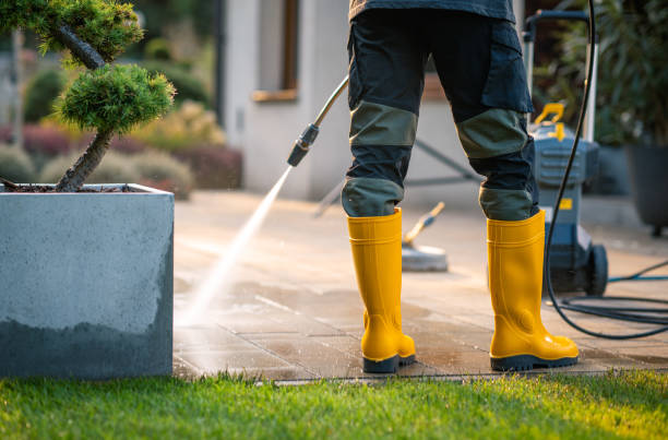 Best Seasonal Cleaning Services in St Paul, VA